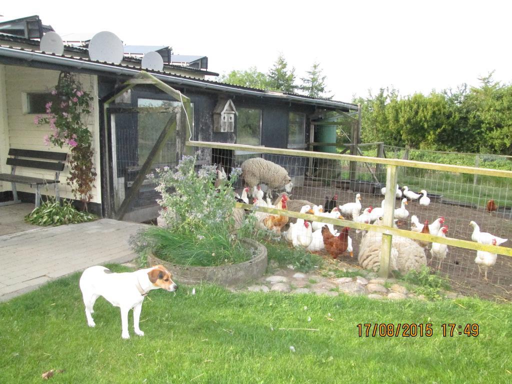 Bakkegarden Homestay Spottrup Exterior photo